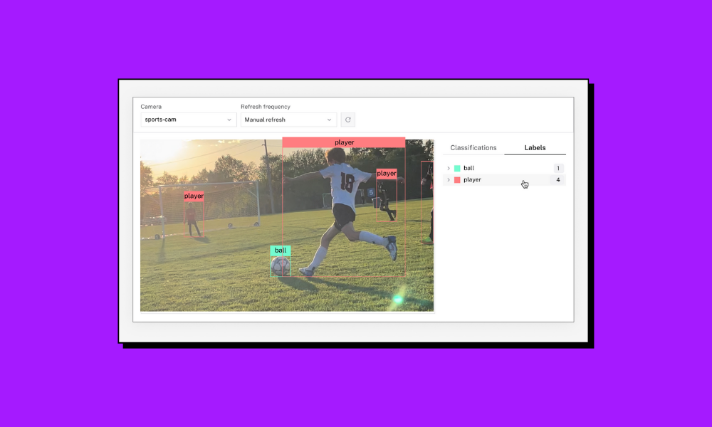 YOLO model for real-time object detection: A full guide YOLO model for real-time object detection: A full guide