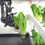 Why automate your operations with cobots?