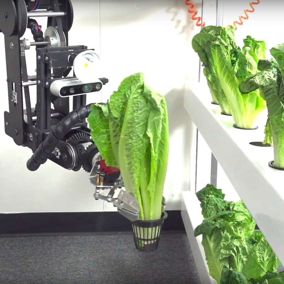 Why automate your operations with cobots?