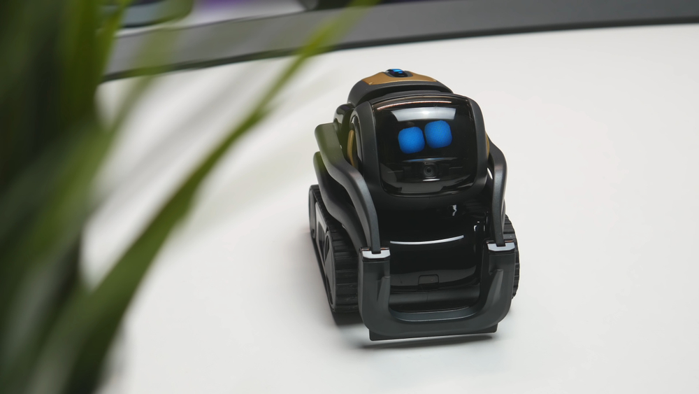The story of two Companion Robots