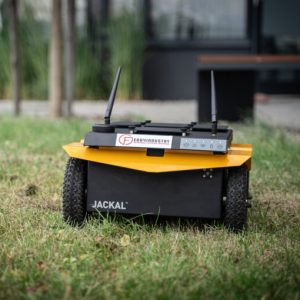 Jackal